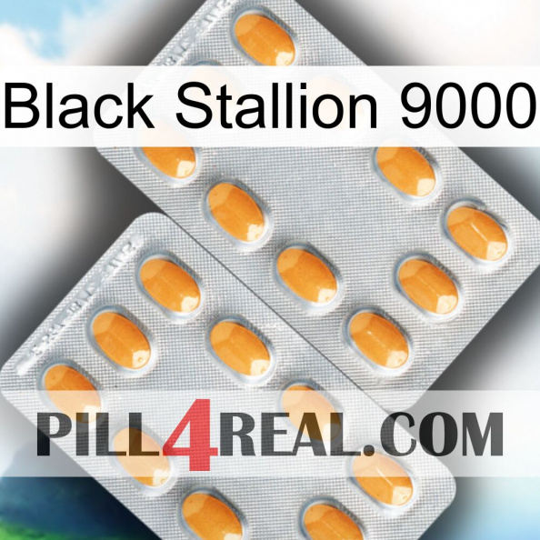 Black Stallion 9000 cialis4